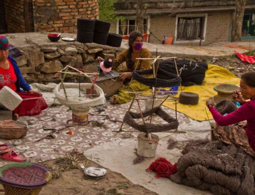 Sustainable Pashmina: Nepal’s Eco-Friendly Approach to Producing Luxurious Wool